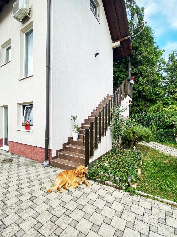 Hotel Guesthouse Stari Jasen Velika Mlaka Eksteriør billede