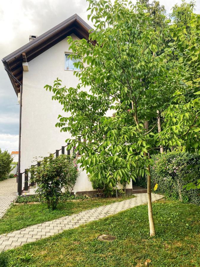 Hotel Guesthouse Stari Jasen Velika Mlaka Eksteriør billede